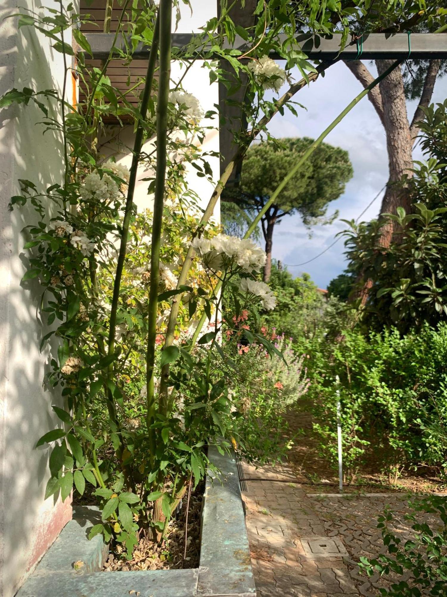 Beau Rivage - Room Studio In Villa Santarcangelo di Romagna Ngoại thất bức ảnh